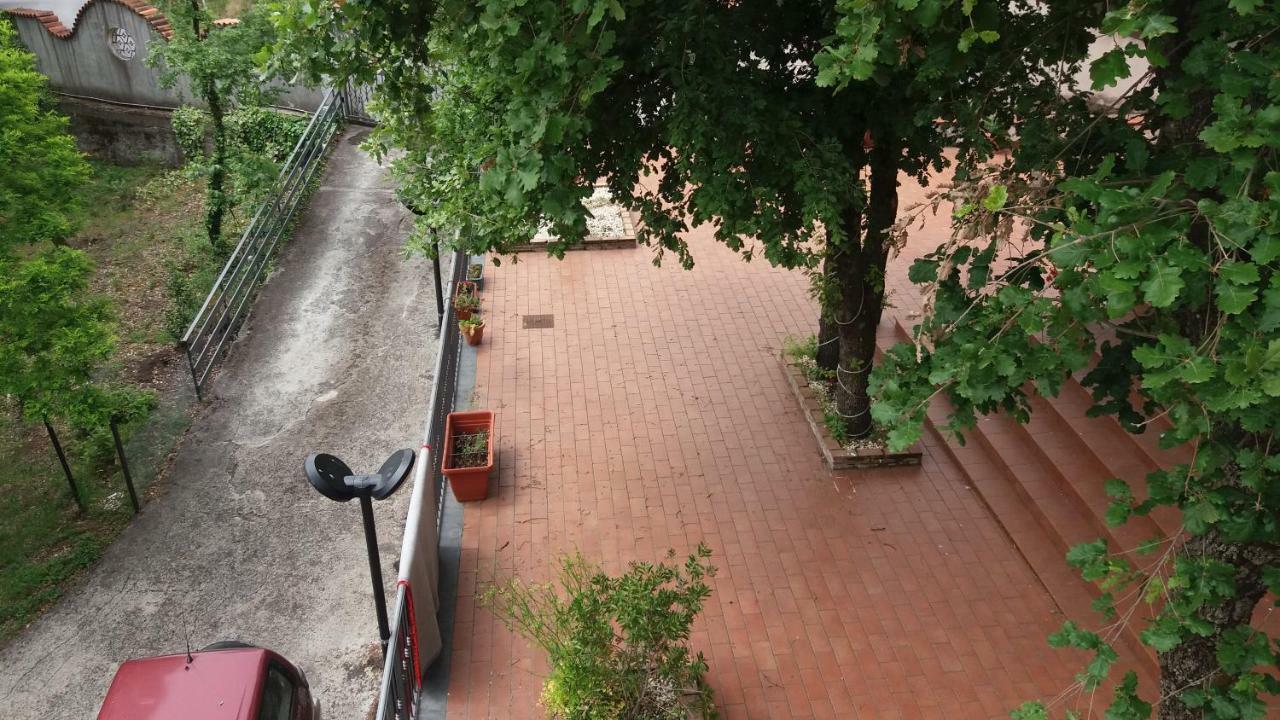 B&B Le Tre Rose Di Maria Pedara Ngoại thất bức ảnh