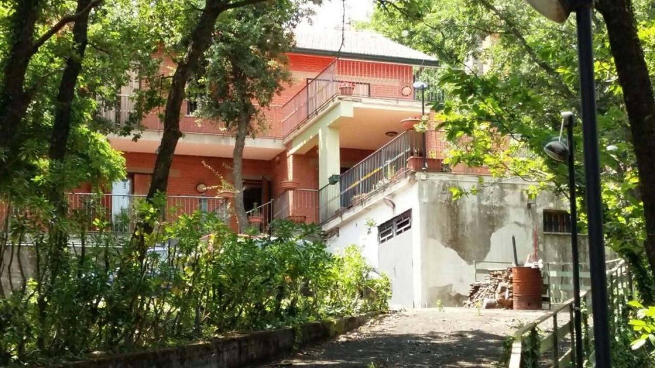 B&B Le Tre Rose Di Maria Pedara Ngoại thất bức ảnh